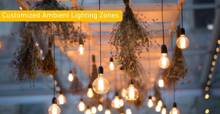 Customized Ambient Lighting Zones