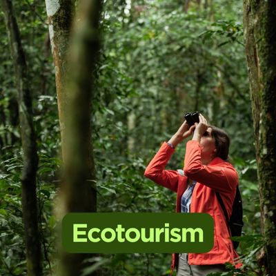 What is Ecotourism? How to Travel Sustainably?