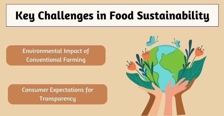 key-challenges-in-food-sustainability